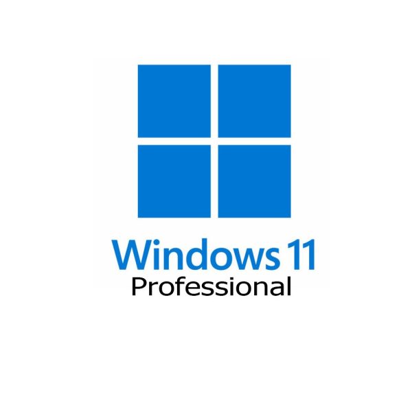 windows pro 11 oem